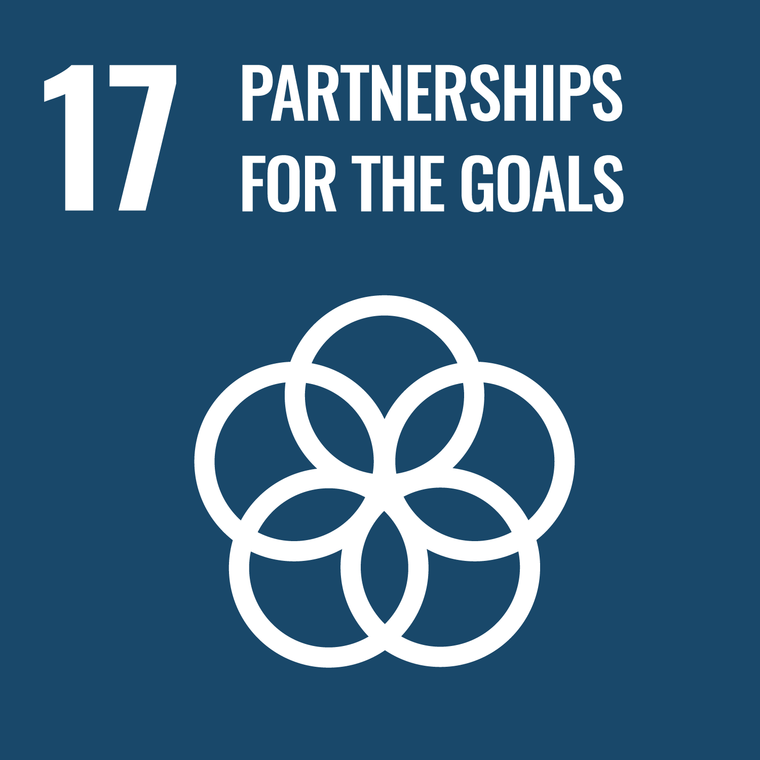 SDG 17 Graphic: Partnership for the Goals
